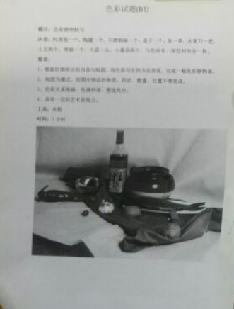 2017年鄭州大學(xué)美術(shù)類校考色彩考題(山東考點(diǎn)).png